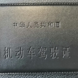 C1D駕駛證 C1D駕駛證