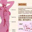 淋巴毒素 淋巴毒素