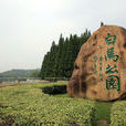 南京白馬石刻公園