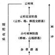 水生演替系列