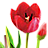 Flower Pot Flower Pot