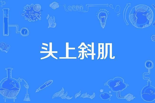 頭上斜肌 頭上斜肌