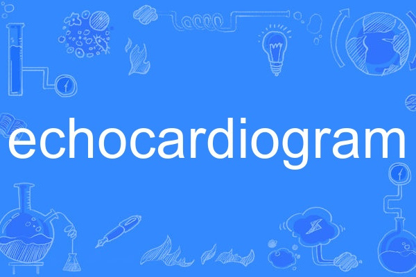 echocardiogram echocardiogram
