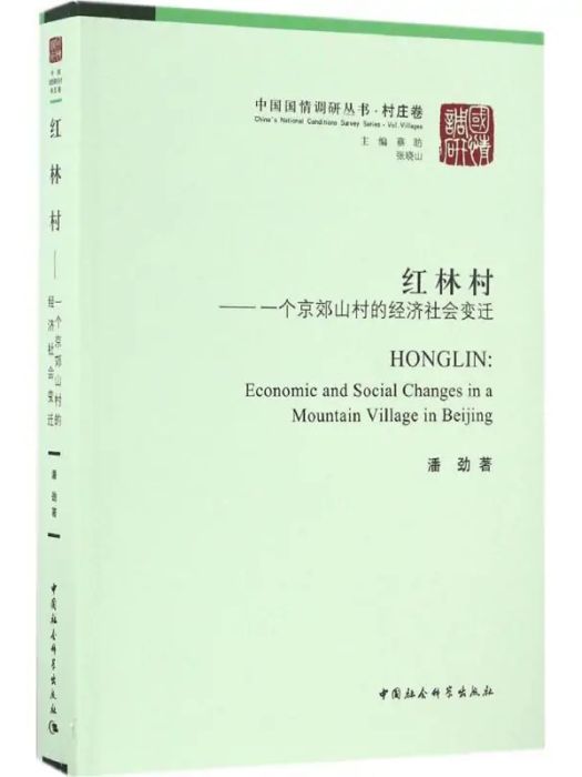 紅林村(2016年中國社會科學出版社出版的圖書) 紅林村(2016年中國社會科學出版社出版的圖書)