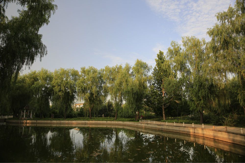 碧海公園 碧海公園