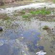 死水效應 死水效應