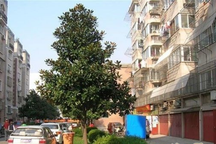 教育新村(深圳市羅湖區大頭嶺片區轄村) 教育新村(深圳市羅湖區大頭嶺片區轄村)