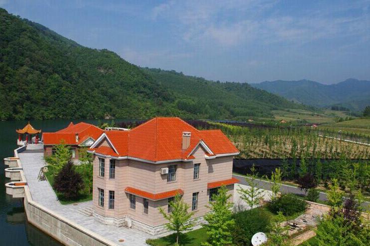 轎頂子村 轎頂子村