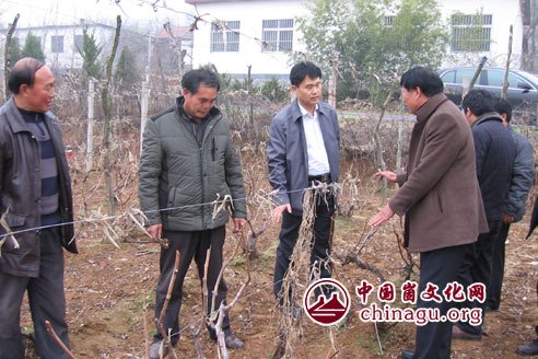 安口村(山東膠南市隱珠街道下轄村) 安口村(山東膠南市隱珠街道下轄村)