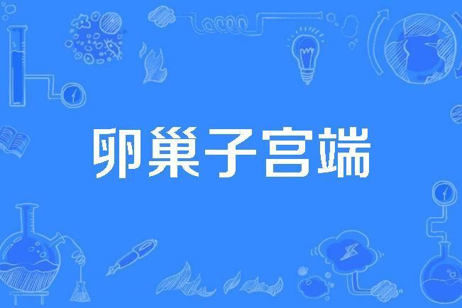 卵巢子宮端 卵巢子宮端