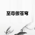 至尊傲蒼穹 至尊傲蒼穹