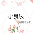 小良辰 小良辰