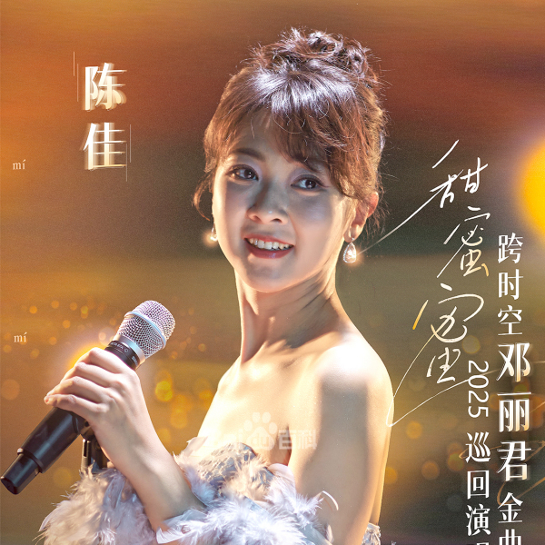 陳佳(中國內地女歌手)
