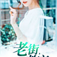 老街,老店 老街,老店