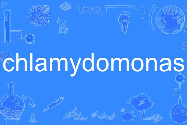 chlamydomonas chlamydomonas