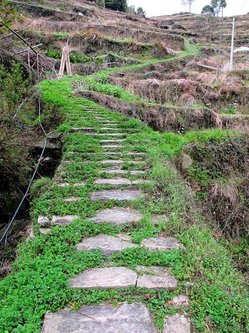 古聳古道 古聳古道