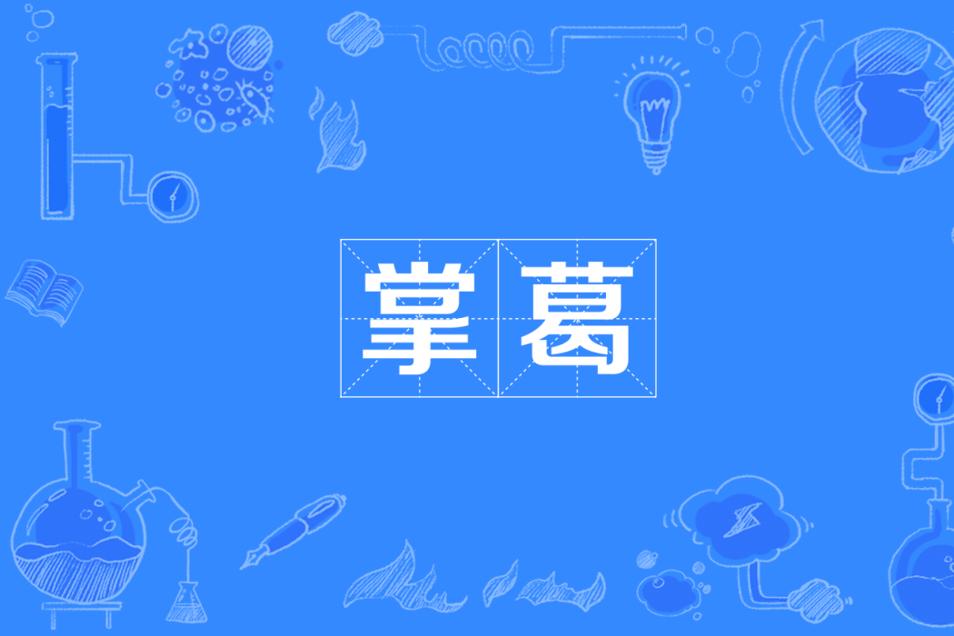 掌葛 掌葛