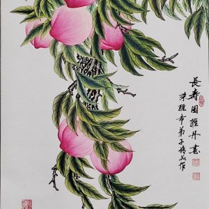 冒井梅 冒井梅