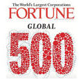2006年《財富》全球500強排名 (201-300)
