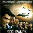 國家安全(2004年美國電影)