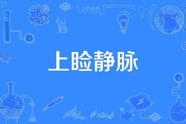 上瞼靜脈 上瞼靜脈