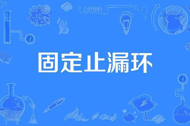 固定止漏環
