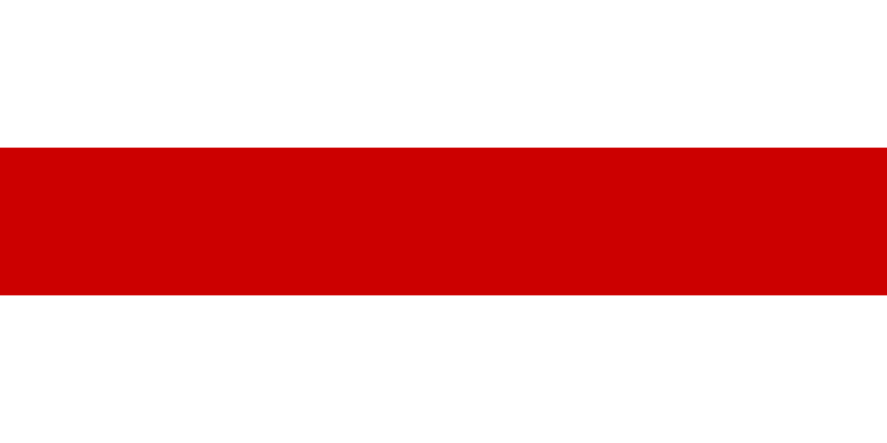 白俄羅斯共和國國旗（1991—1995）