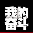 我的奮鬥(羅永浩著書)