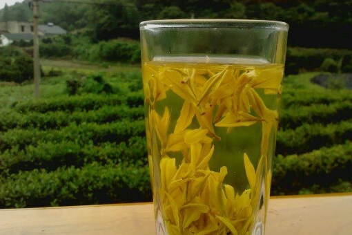 參蓮茶 參蓮茶