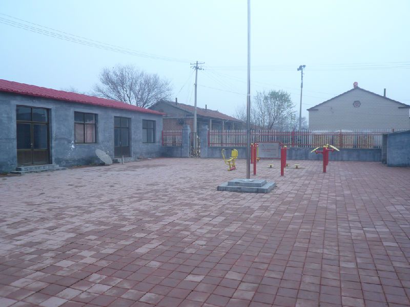 許莊子村(河北省滄州市南皮縣王寺鎮下轄村) 許莊子村(河北省滄州市南皮縣王寺鎮下轄村)