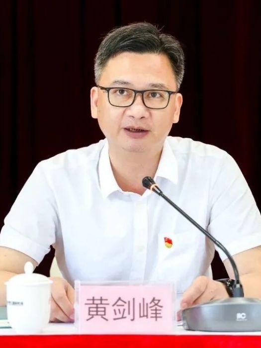 黃劍峰(泉州晉江國際機場股份有限公司黨委書記) 黃劍峰(泉州晉江國際機場股份有限公司黨委書記)