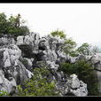 羅叢岩 羅叢岩