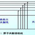 共振吸收 共振吸收