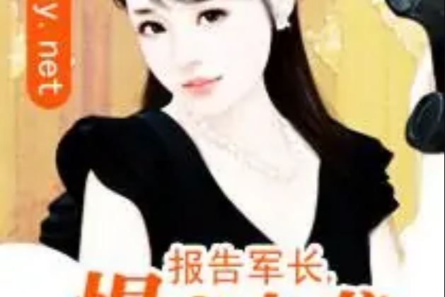 悍妻突擊 悍妻突擊