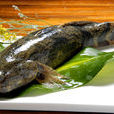 鯒魚 鯒魚