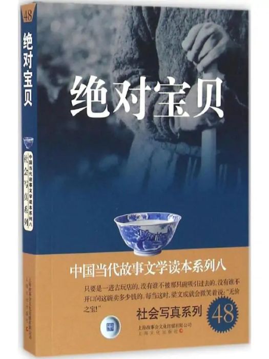 絕對寶貝(2016年上海文化出版社出版的圖書) 絕對寶貝(2016年上海文化出版社出版的圖書)