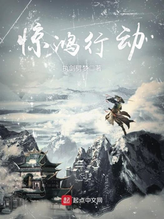 驚鴻行動 驚鴻行動