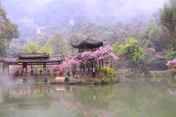 桃花源區 桃花源區