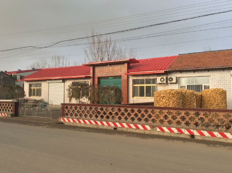 店子辛村 店子辛村