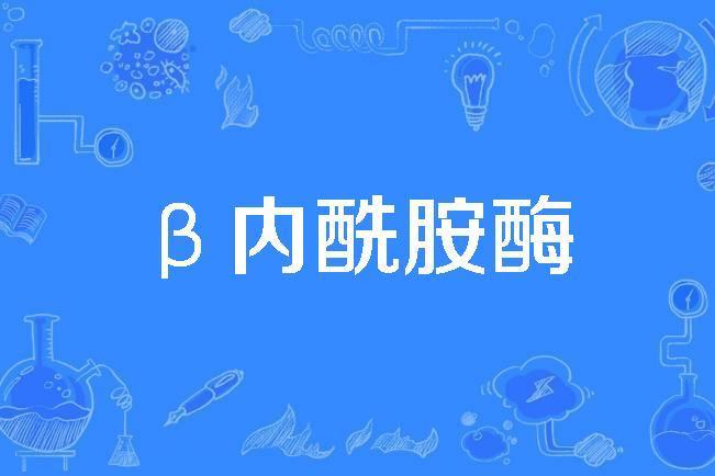 β內醯胺酶 β內醯胺酶