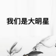 我們是大明星