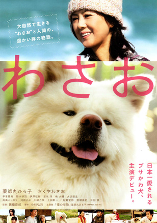 藥師丸博子 藥師丸博子