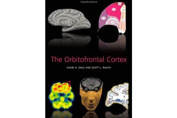 The Orbitofrontal Cortex The Orbitofrontal Cortex