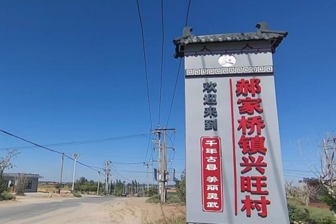 興旺村(寧夏回族自治區銀川市靈武市郝家橋鎮下轄行政村) 興旺村(寧夏回族自治區銀川市靈武市郝家橋鎮下轄行政村)