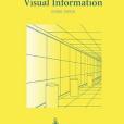 The Perception of Visual Information The Perception of Visual Information