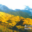銅鼓嶂