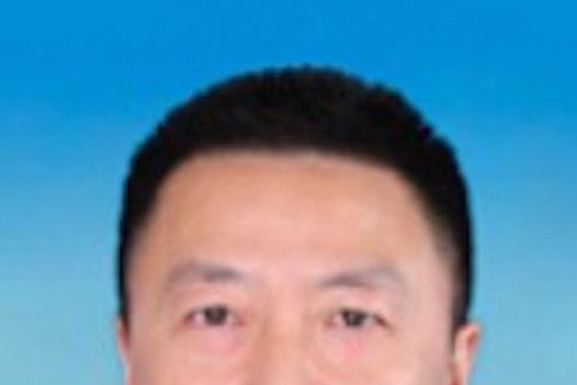 岳雷(四川省應急管理廳總工程師) 岳雷(四川省應急管理廳總工程師)