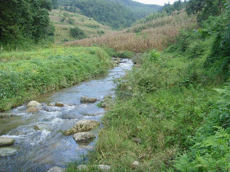 雙河場村 雙河場村