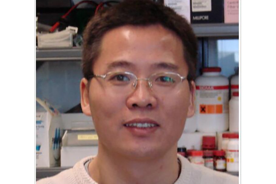 周鵬輝(中山大學腫瘤防治中心教授) 周鵬輝(中山大學腫瘤防治中心教授)