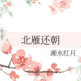 北雁還朝 北雁還朝
